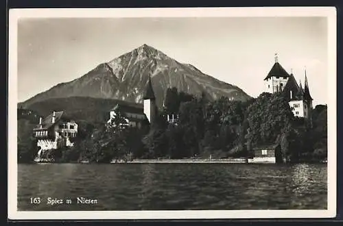 AK Spiez, Ortsansicht vom Wasser aus mit Niesen