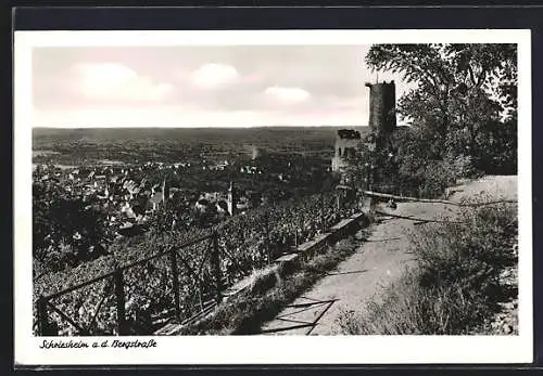 AK Schriesheim a. d. Bergstrasse
