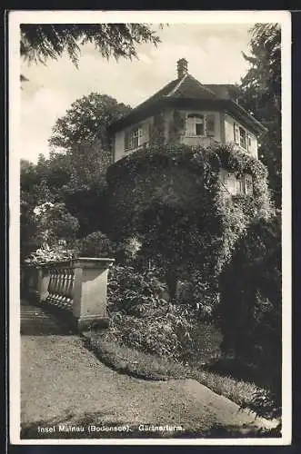 AK Insel Mainau, Ansicht vom Gärtnerturm