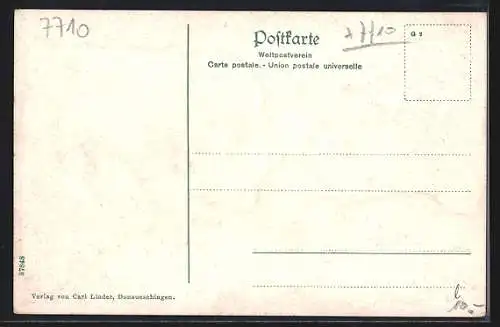 AK Donaueschingen, Ortsansicht