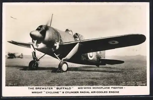 AK Flugzeug The Brewster Buffalo I., British Single-Seat Fighter, R. A. F. and Fleet Air Arm on the ground