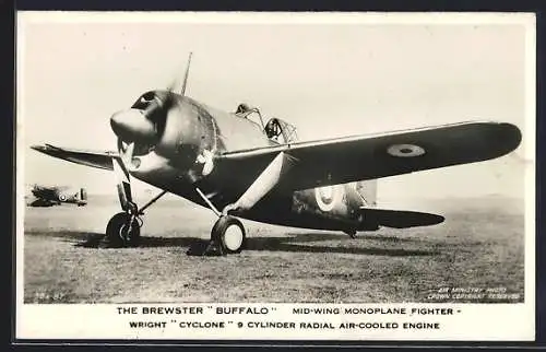 AK Flugzeug The Brewster Buffalo I., British Single-Seat Fighter, R. A. F. and Fleet Air Arm on the ground