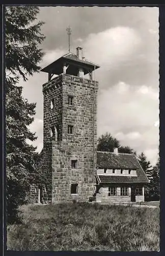 AK Loffenau im Schwarzwald, Höhengasthaus Teufelsmühle mit Aussichtsturm, Bes. Emil Treiber