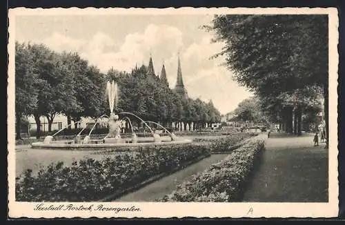 AK Rostock, Rosengarten mit Springbrunnen