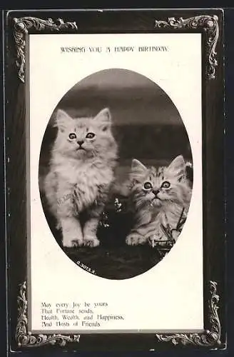 AK Zwei junge Katzen, Geburtstagsgruss