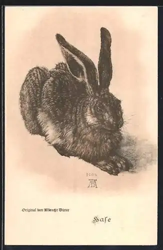 AK Hase nach Albrecht Dürer