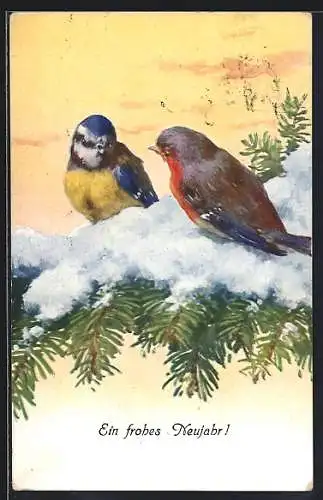 AK Singvögel auf Tannenzweig mit Schnee, Neujahrsgruss