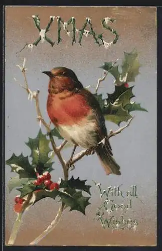 AK Rotkehlchen auf Stechpalmenzweig, Weihnachtsgruss