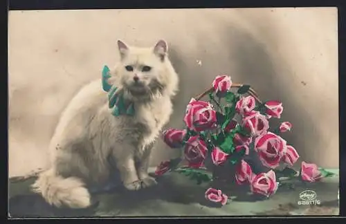 AK Weisse Katze neben einem Rosenstrauss