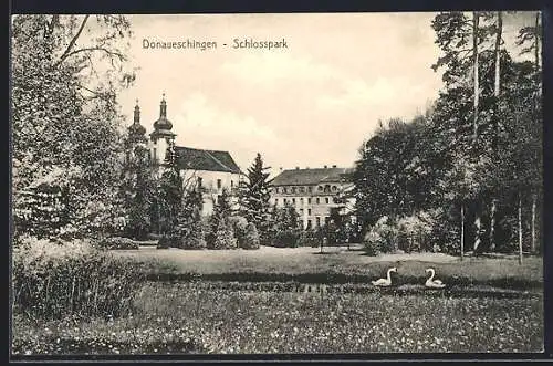 AK Donaueschingen, Schlosspark