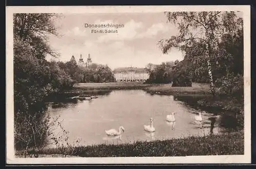 AK Donaueschingen, Fürstliches Schloss und Schwanenteich