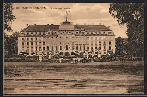 AK Donaueschingen, Fürstliches Schloss