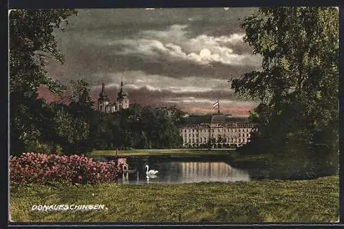 AK Donaueschingen, Schloss und Schlosspark