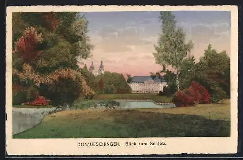 AK Donaueschingen, Blick zum Schloss