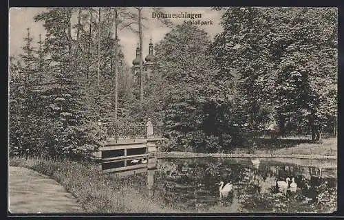 AK Donaueschingen, Schlosspark