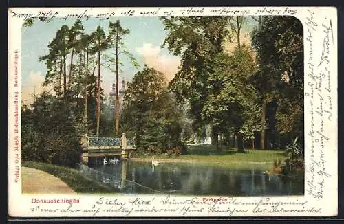AK Donaueschingen, Parkpartie