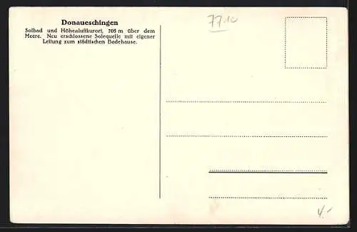 AK Donaueschingen, Fürstlicher Schlosspark