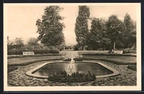 AK Erfurt, Brunnen im Stadtpark