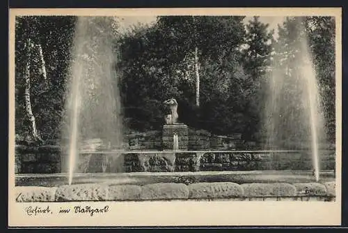 AK Erfurt, Brunnen im Stadtpark