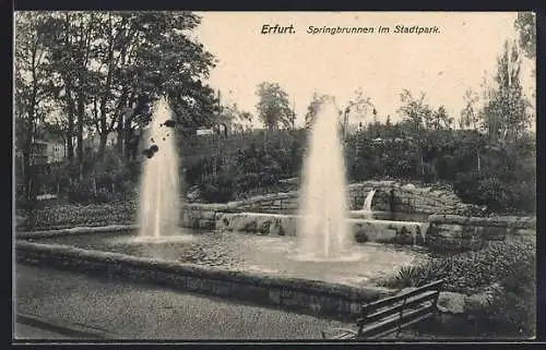 AK Erfurt, Sprinbrunnen im Stadtpark