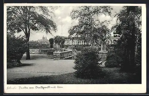 AK Erfurt, Stadtgarten mit Dom