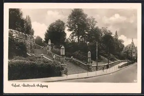 AK Erfurt, Stadtpark-Aufgang