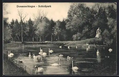 AK Erfurt, Teich im Schlosspark mit Schwänen