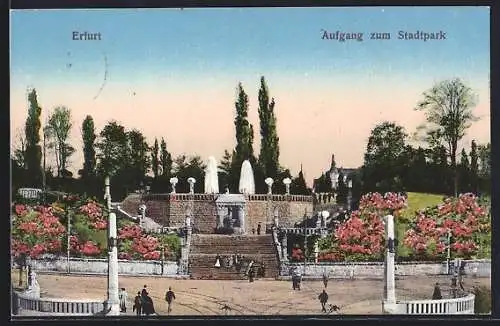 AK Erfurt, Treppenaufgang zum Stadtpark, Fontänen