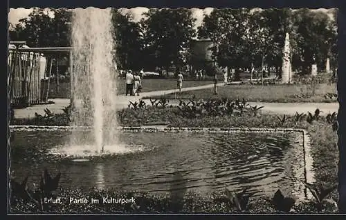 AK Erfurt, Partie im Kulturpark