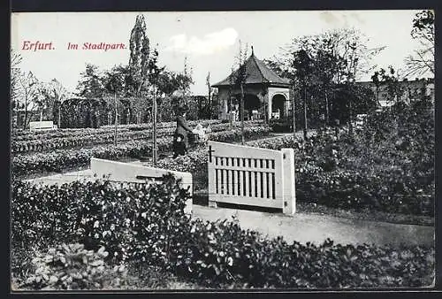 AK Erfurt, Partie im Stadtpark