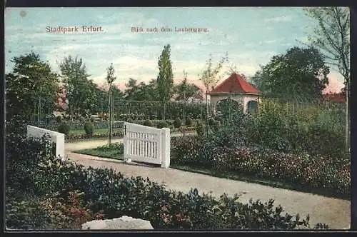 AK Erfurt, Stadtpark mit Blick nach dem Laubengang