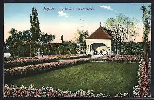 AK Erfurt, Partie aus dem Stadtpark