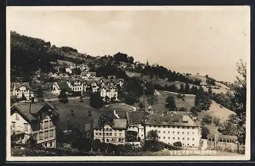 AK Walzenhausen, Panorama