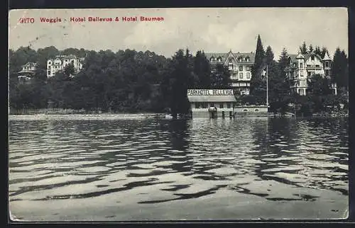 AK Weggis, Hotel Bellevue & Hotel Baumen