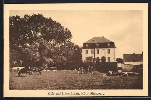 AK Köln-Dünnwald, Rittergut Haus Haan mit Kühen