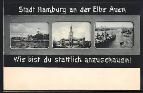 AK Hamburg an der Elbe, Auen, Rathaus, Uferpartie, Dampfer