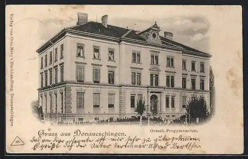 AK Donaueschingen, Grossherzogliches Progymnasium