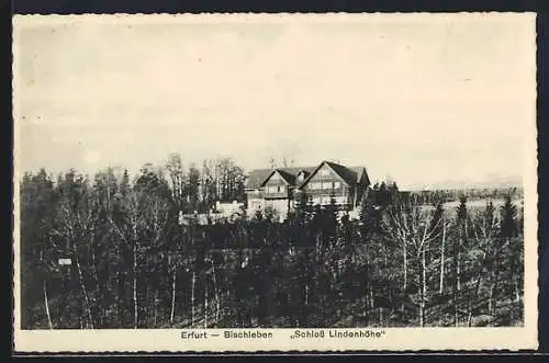 AK Erfurt-Bischleben, Cafe-Restaurant Schloss Lindenhöhe von Walter Gleichmar