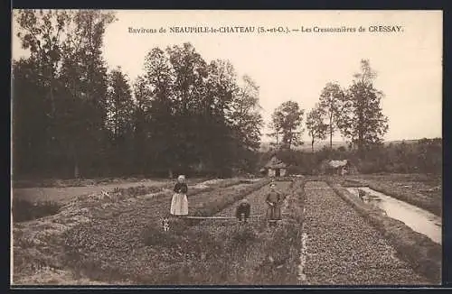 AK Neauphle-le-Chateau, Les Cressionnières de Cressay