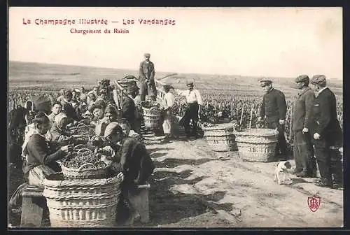 AK La Champagne illustrée, Les Vendanges, Chargement du Raisin