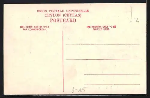 AK Ceylon, Rikschafahrer mit Passagieren