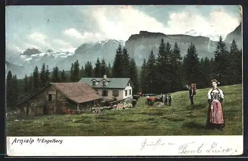 AK Engelberg /OW, Arnialp, Bauernhaus mit Kühen