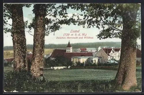 AK Dobel / Herrenalb, Hotel und Pension Sonne zwischen Herrenalb und Wildbad