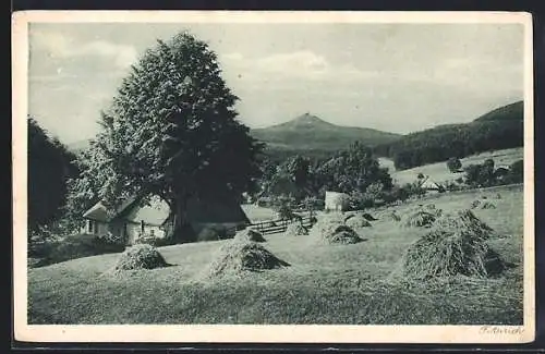 AK Berzdorf, Blick auf den Jeschken von dem Dorf