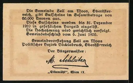 Notgeld Zell am Moos 1920, 10 Heller, Landschaft mit Gebäuden, Seriennummer 51920