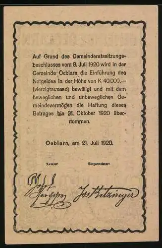 Notgeld Oeblarn 1920, 20 Heller, Landschaftsmotiv im Ennstal, Gemeindebeschluss-Text