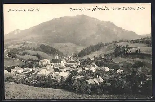 AK Ybbsitz /N.-Oe., Ansicht mit Prochenberg