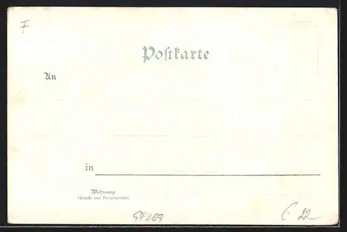 Lithographie Mülhausen i. E., Totalansicht, Rathaus, Neue Post, Arbeiterviertel, Teufelsturm, St. Stephanskirche