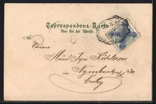 Lithographie Wien, Rathaus mit Parkanlage
