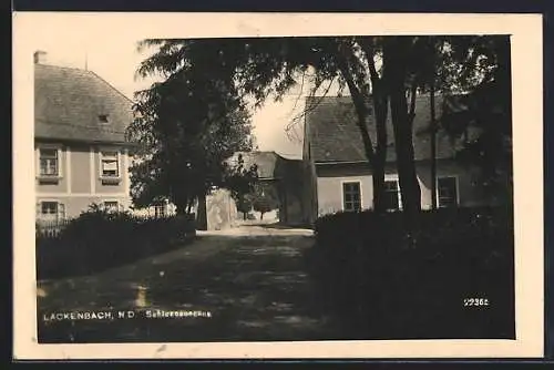 AK Lackenbach /N. D., Schlossauegang, Strassenpartie mit Tor